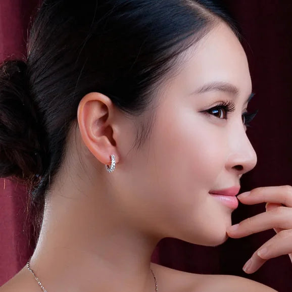 Hemasa 925 Sterling Silver Crystal Circle Earring For Women