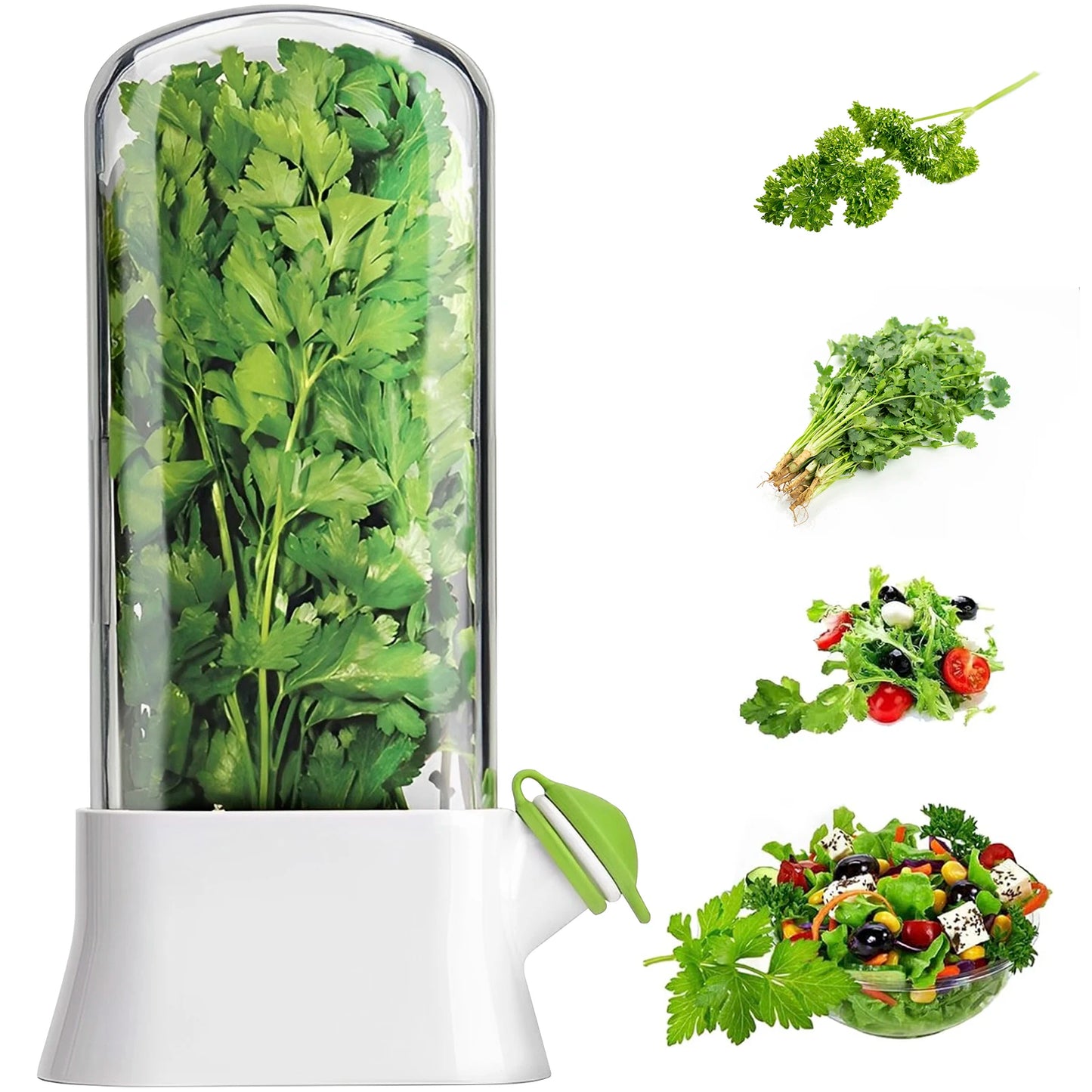 Tejesa 4/1PC Herb Freshkeeping Box Fresh Vegetable Storage Container Cup Home Decor Kitchen Gadget Device for Fridge Herb Keeper Bottle