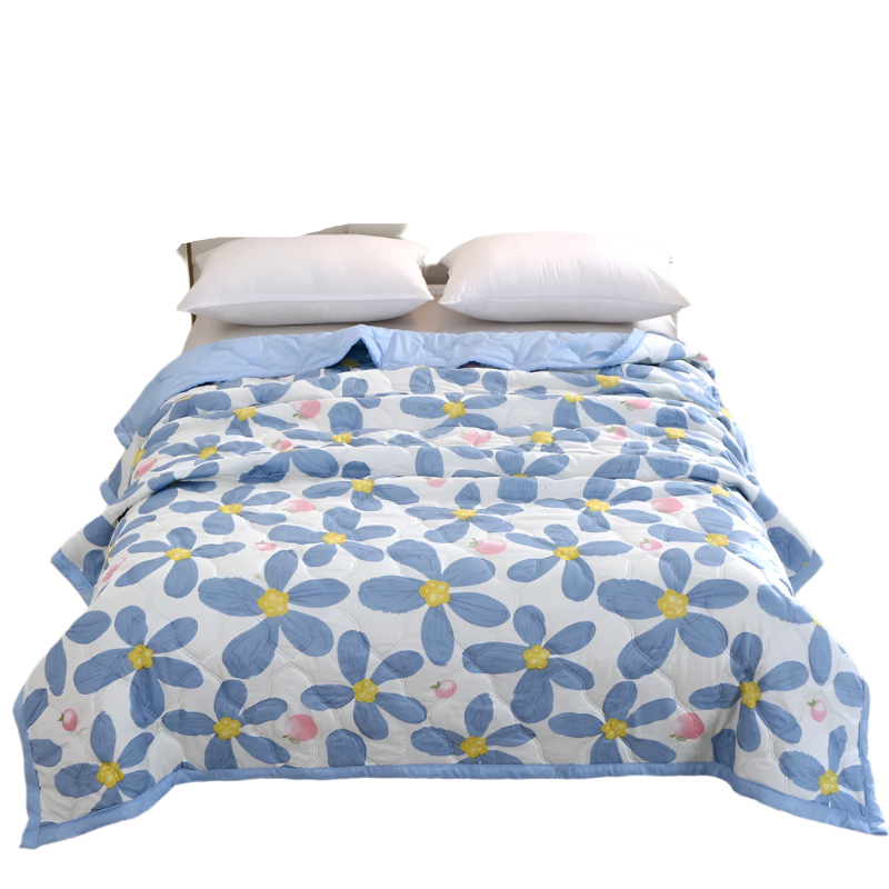 Hemasa Quilted summer single double bed light Printed quilt core Air conditioning quilting twin queen size duvet Thin plaid comforter