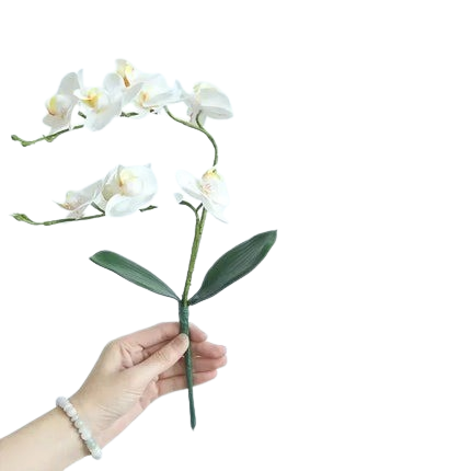 Hemasa 2Pcs 46cm Silk Orchid with Leaves Artificial Flower White Butterfly Orchids Fake Flower for Home Wedding Decoration Flores