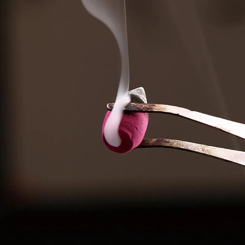 Hemasa 60PCS Backflow Incense Cones Mixed Flavor Natural Incense Floral Lavender Sandalwood  Rose Natural Tea Agarwood Air Fresheners