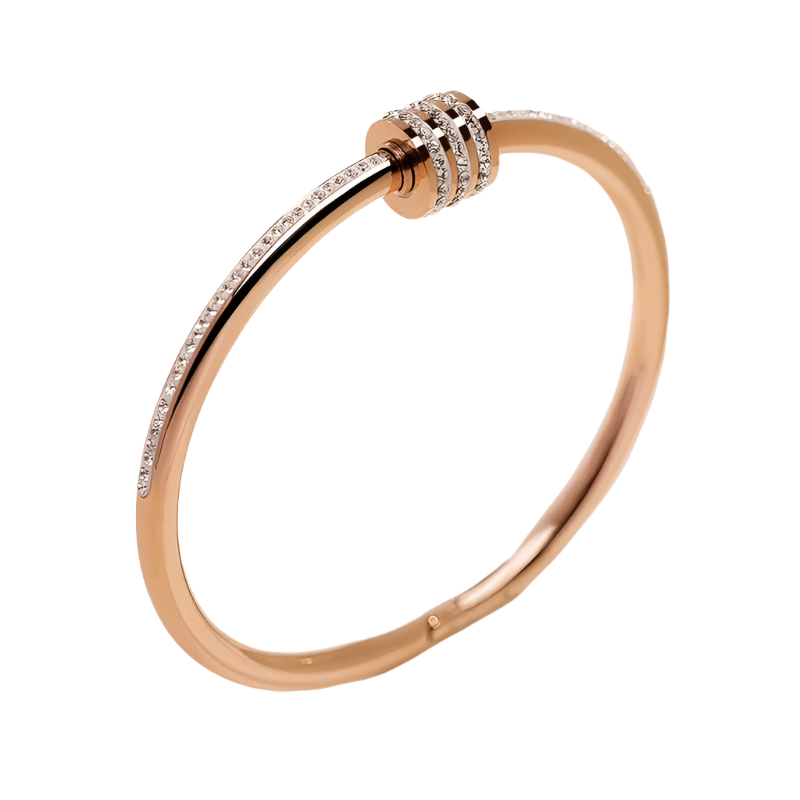 Hemasa Classic Stainless Steel Zircon Bangle For Women /Circular Screw Bracelet