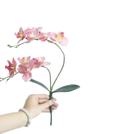 Hemasa 2Pcs 46cm Silk Orchid with Leaves Artificial Flower White Butterfly Orchids Fake Flower for Home Wedding Decoration Flores
