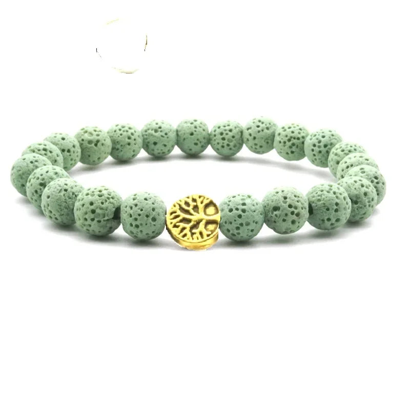 48747871666508|48747871699276|48747871732044