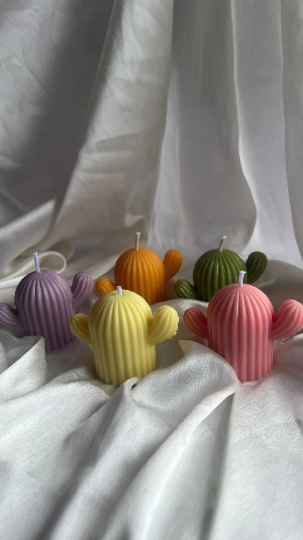 Cactus Candle | Soy Wax Cactus Candle | Handmade Soy Wax Candle | Home Decor Candle | Cactus Decoration | Gift Idea