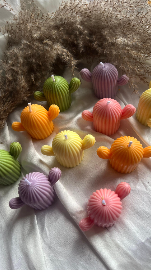 Cactus Candle | Soy Wax Cactus Candle | Handmade Soy Wax Candle | Home Decor Candle | Cactus Decoration | Gift Idea