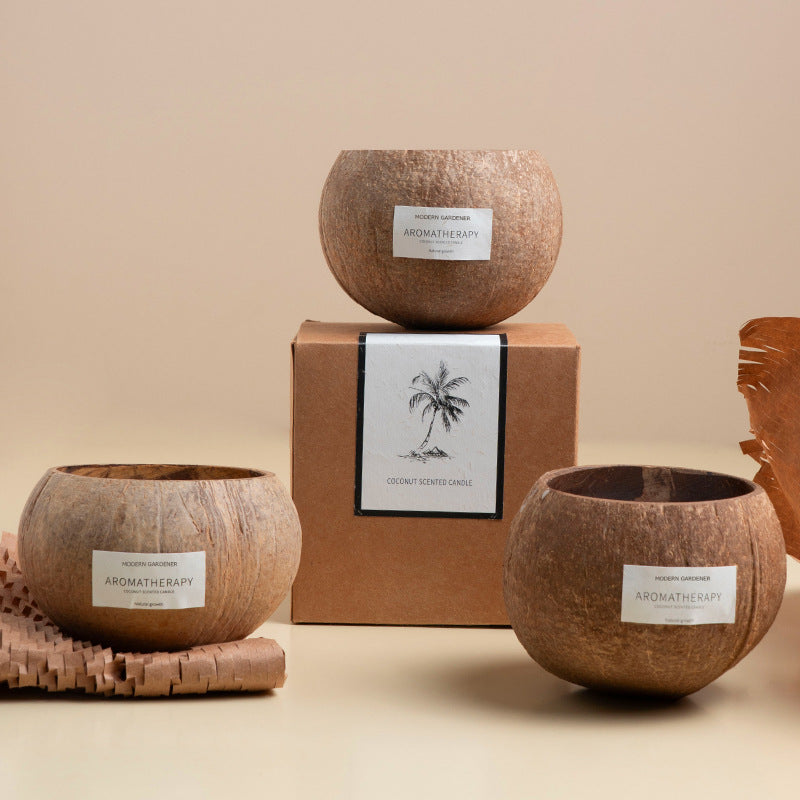 Xizang Coconut Shell Scented Candle Gift Box Niche High-End Atmosphere Bedroom Incense Fresh Sea Breeze Series Souvenirs