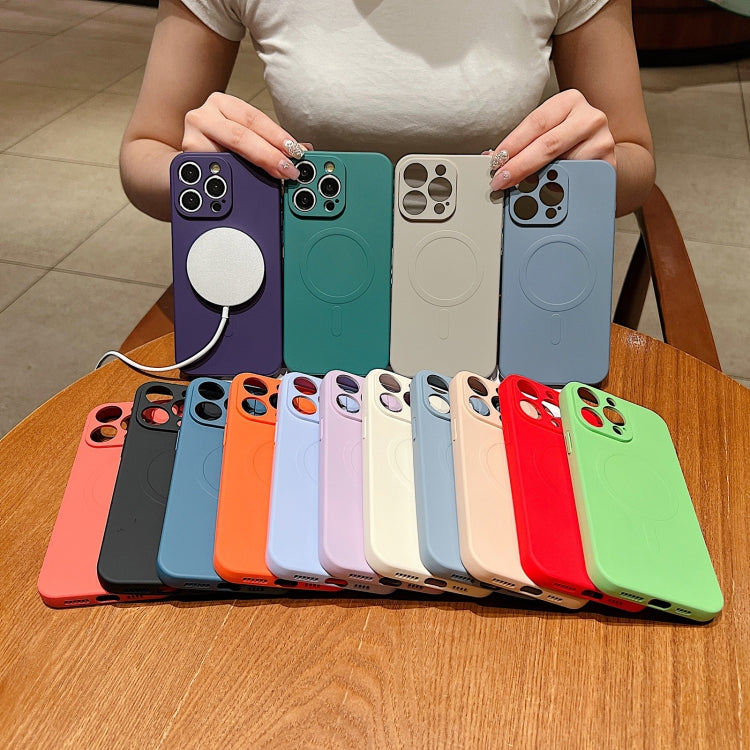 Solid Color Liquid Silicone MagSafe Magnetic Phone Case, For iPhone 17, For iPhone Air, For iPhone 16 Pro Max