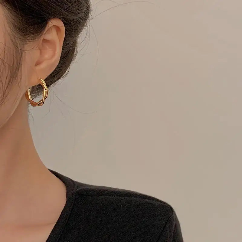 Hemasa  Silver Fashion Geometric Twist  Metal Earrings