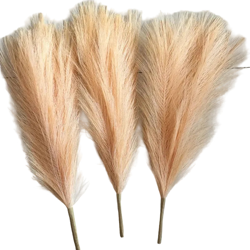 Tejesa 45cm Pampas Grass Simulation  Reed Grass Wedding Decoration Home Bedroom Accessories Wedding Guide Photo PropBackground