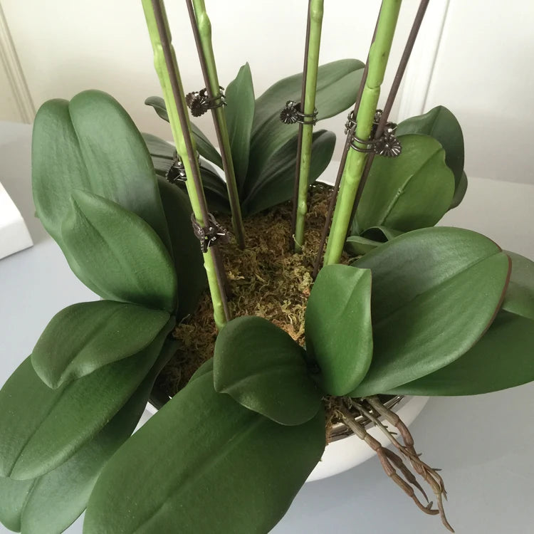 1 Set High Grade Artificial Orchids Arrangement Latex 3Dprint Real Touch Large Size Luxury Table Flower Home Hotel Decor No Vase