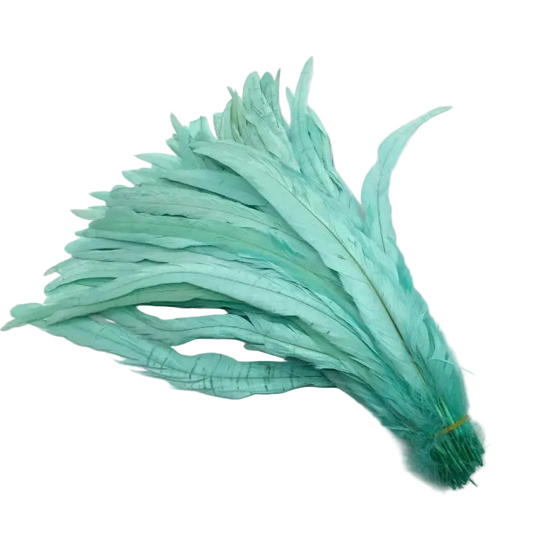 Tejesa  100pcs 30-35CM Rooster Tail Feathers Sky Blue Natural  Plumes Beige DIY Cock Clothing Jewelry Accessories Party