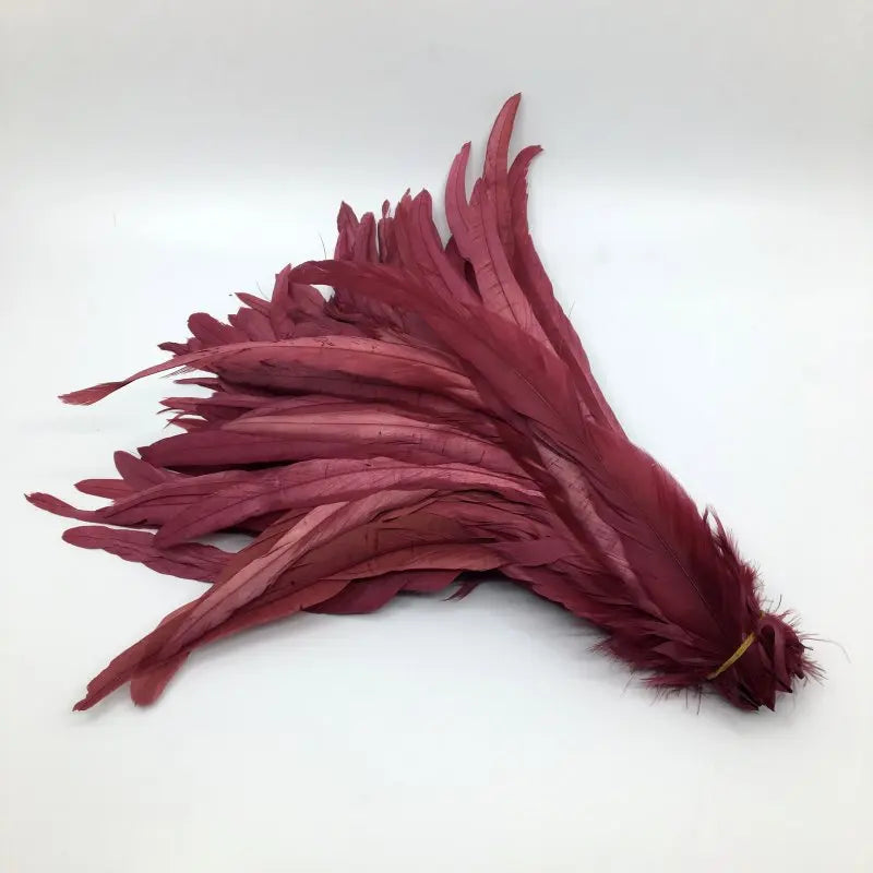 Tejesa  100pcs 30-35CM Rooster Tail Feathers Sky Blue Natural  Plumes Beige DIY Cock Clothing Jewelry Accessories Party