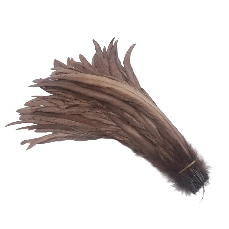 Tejesa  100pcs 30-35CM Rooster Tail Feathers Sky Blue Natural  Plumes Beige DIY Cock Clothing Jewelry Accessories Party