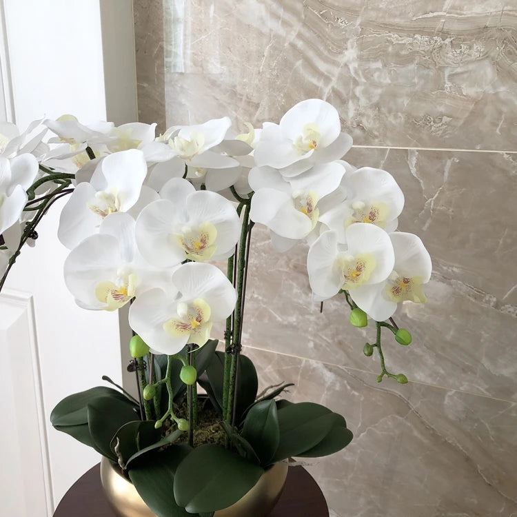 1 Set High Grade Artificial Orchids Arrangement Latex 3Dprint Real Touch Large Size Luxury Table Flower Home Hotel Decor No Vase