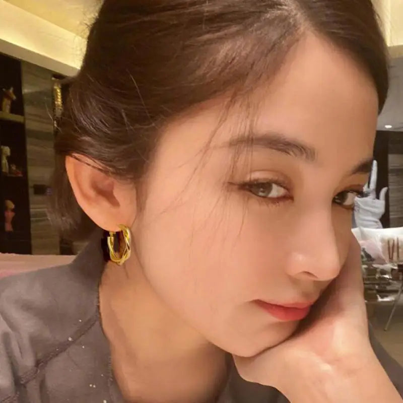 Hemasa  Silver Fashion Geometric Twist  Metal Earrings