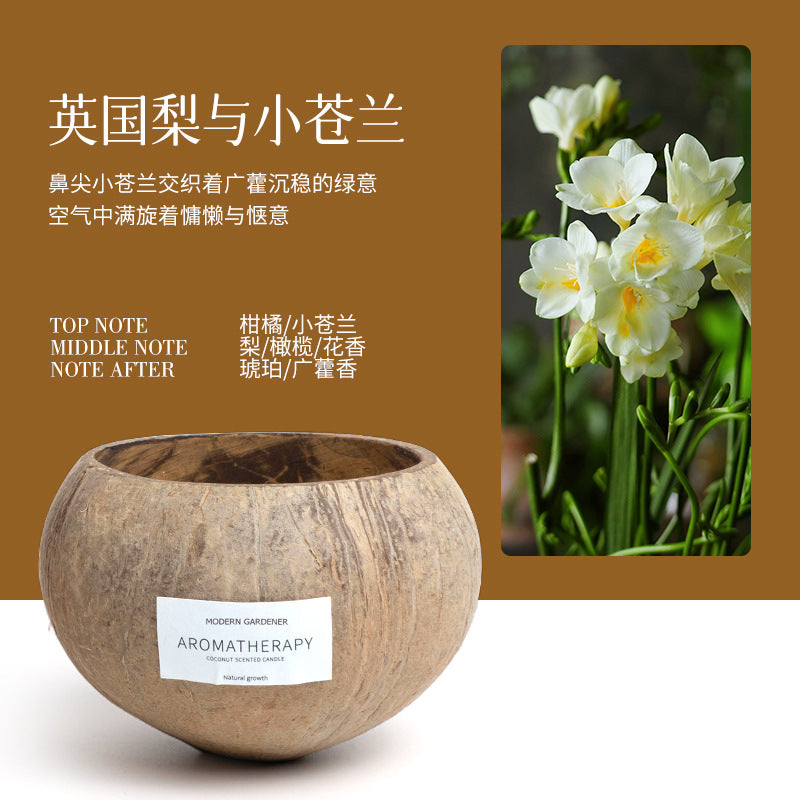 Xizang Coconut Shell Scented Candle Gift Box Niche High-End Atmosphere Bedroom Incense Fresh Sea Breeze Series Souvenirs