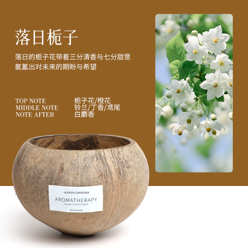Xizang Coconut Shell Scented Candle Gift Box Niche High-End Atmosphere Bedroom Incense Fresh Sea Breeze Series Souvenirs