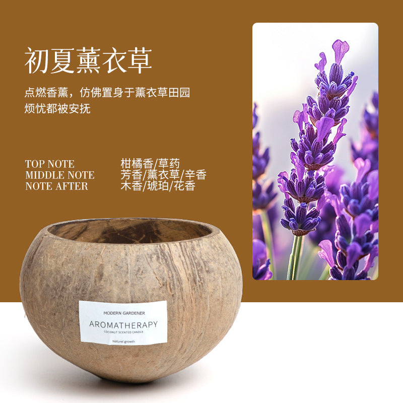 Xizang Coconut Shell Scented Candle Gift Box Niche High-End Atmosphere Bedroom Incense Fresh Sea Breeze Series Souvenirs