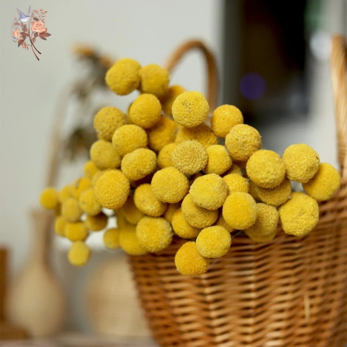 Natural Dried Yellow Golden Balls Craspedia Billy Ball Bouquet DIY Flowers Arrangement Wedding Party Decoration Home Table Decor