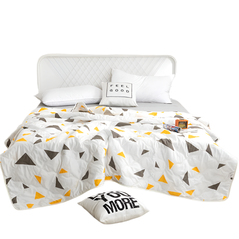 Hemasa  Silk  Thin Quilt Summer Blanket  Single/Queen/King