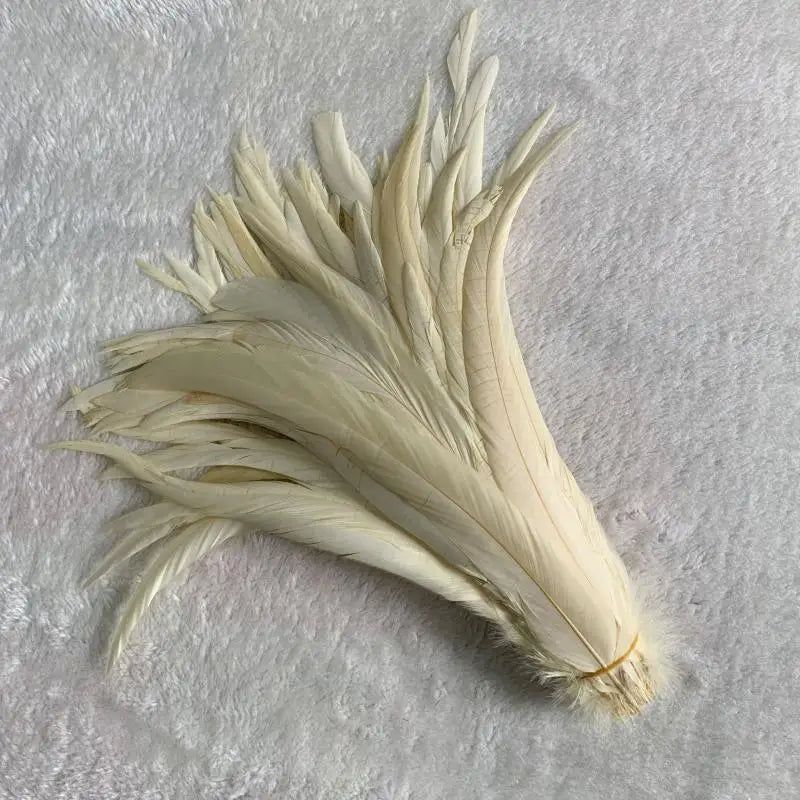 Tejesa  100pcs 30-35CM Rooster Tail Feathers Sky Blue Natural  Plumes Beige DIY Cock Clothing Jewelry Accessories Party