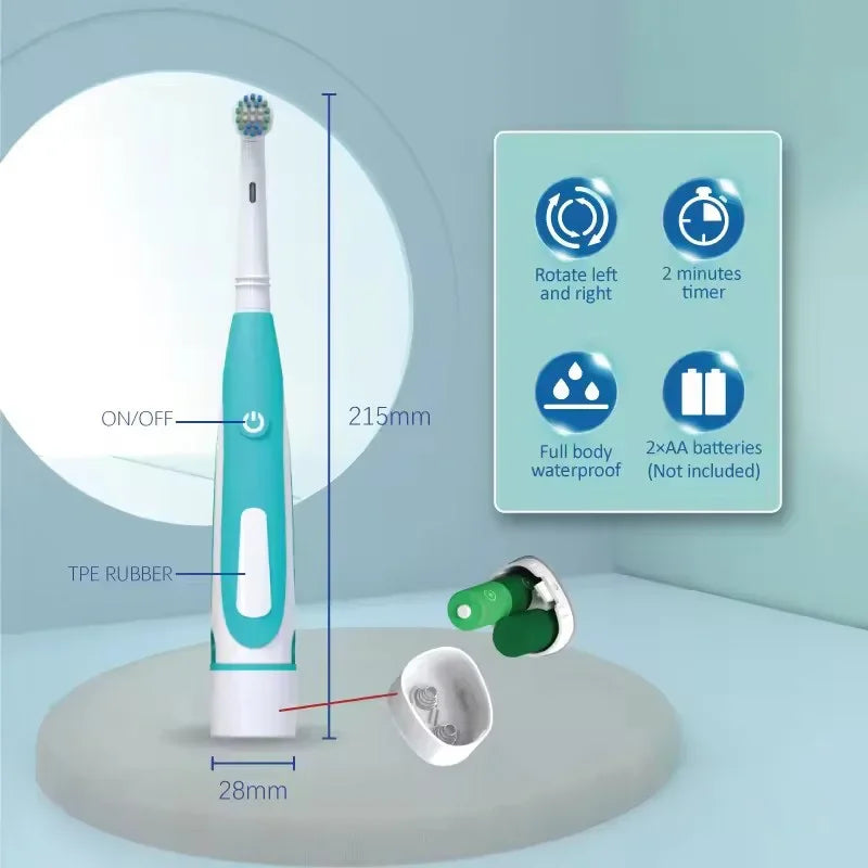 Sonic Electric Toothbrush Rounded 3D Vibrate Teeth Brush Rotation Gum Care Soft Bristle Heads Battery Power Teeth Whitening