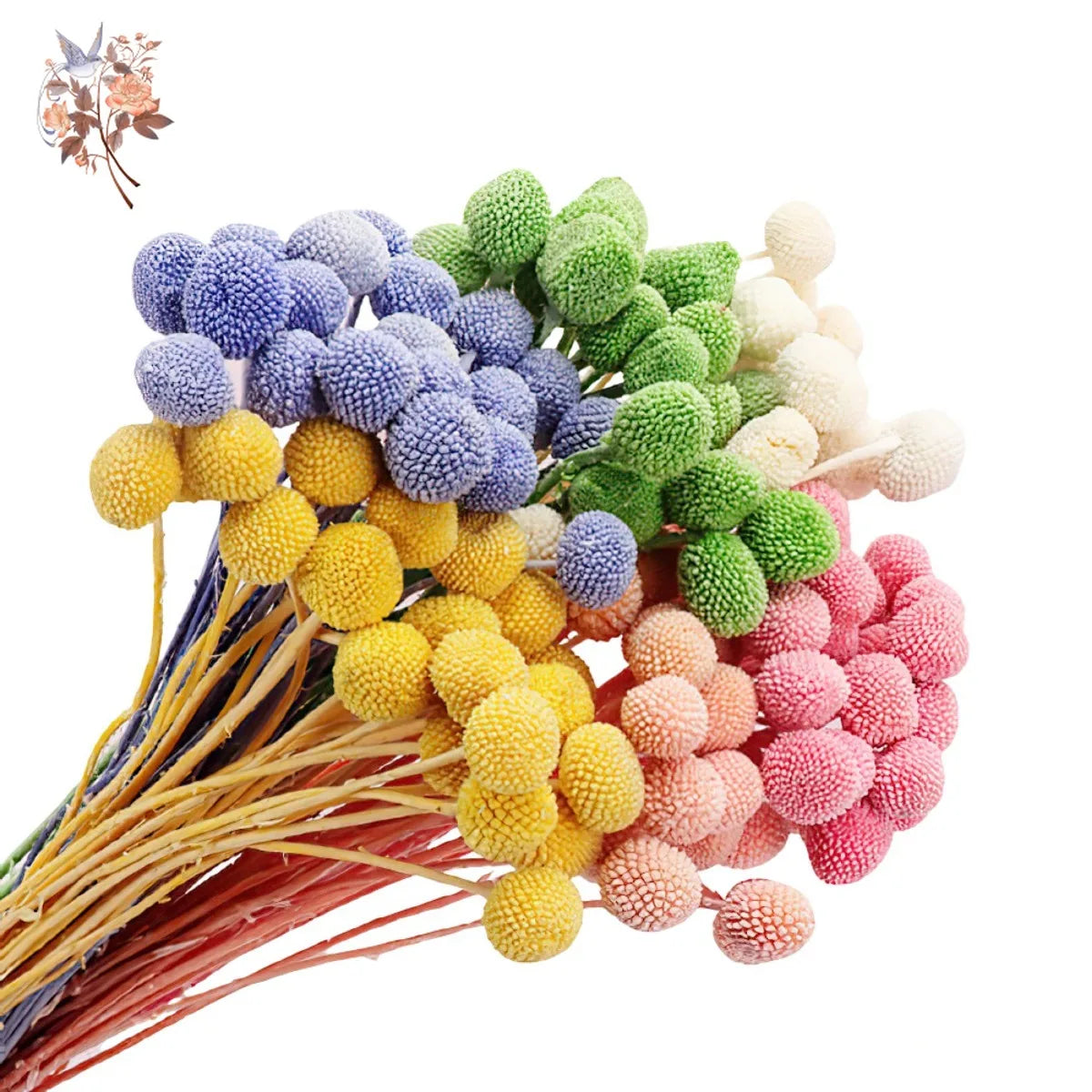 Dried Billy Button Balls Flowers Wedding Floral Arrangement Dry Craspedia Globosa Boho Baby Shower Decoration Home Table Decor