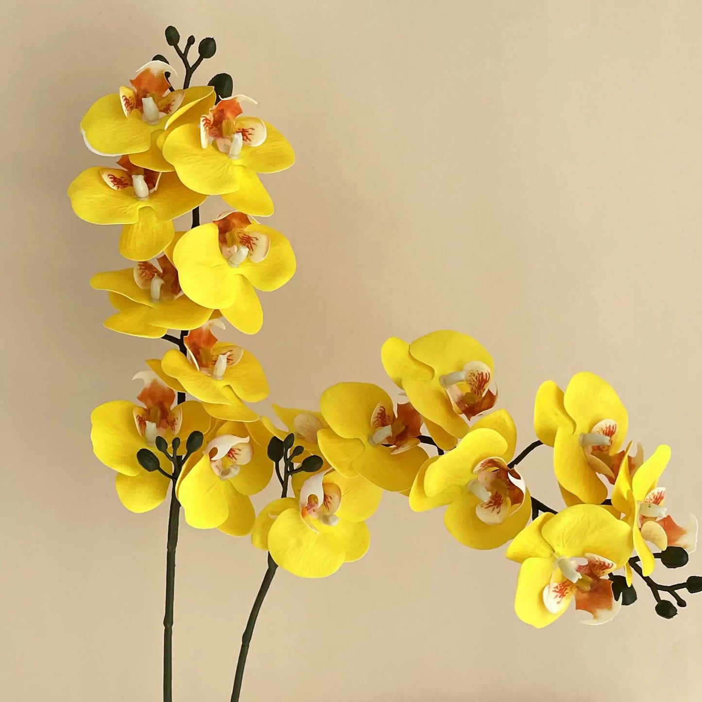 5Pc 3D Print Film Phalaenopsis Artificial Flowers Real Touch Orchids Home Decor Wedding Road Leads Flower Arrangement Bouquet