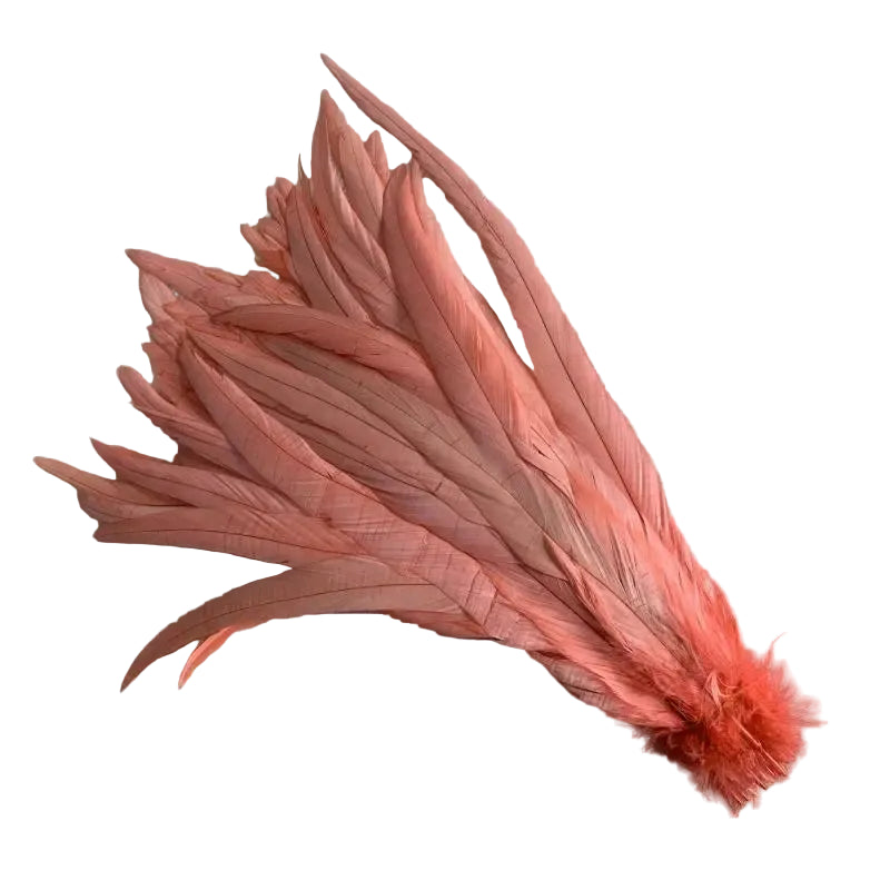 Tejesa  100pcs 30-35CM Rooster Tail Feathers Sky Blue Natural  Plumes Beige DIY Cock Clothing Jewelry Accessories Party