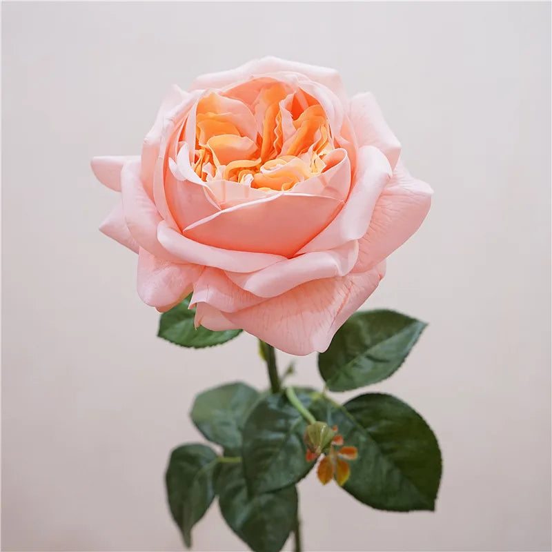 5Pc Moisturizing Austin Rose Real Touch Artificial Flowers Luxury Home Decoration Party Event Wedding Bouquet Fake Flowers Roses