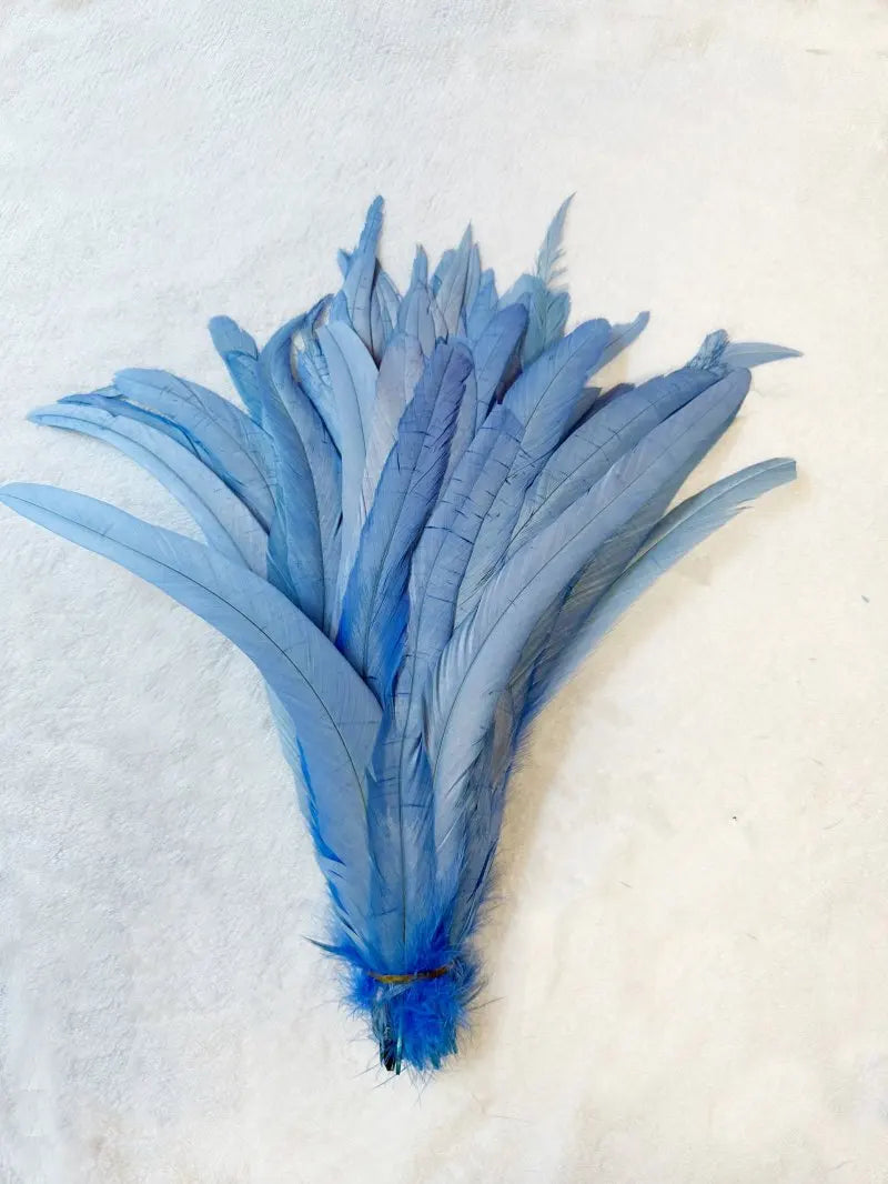 Tejesa  100pcs 30-35CM Rooster Tail Feathers Sky Blue Natural  Plumes Beige DIY Cock Clothing Jewelry Accessories Party