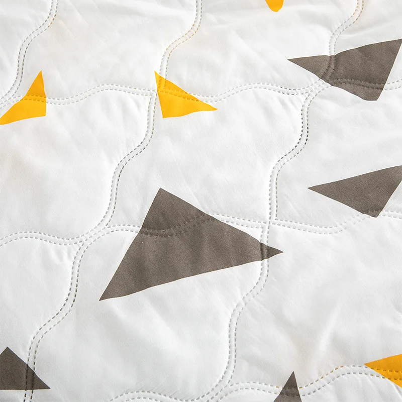 Hemasa  Silk  Thin Quilt Summer Blanket  Single/Queen/King