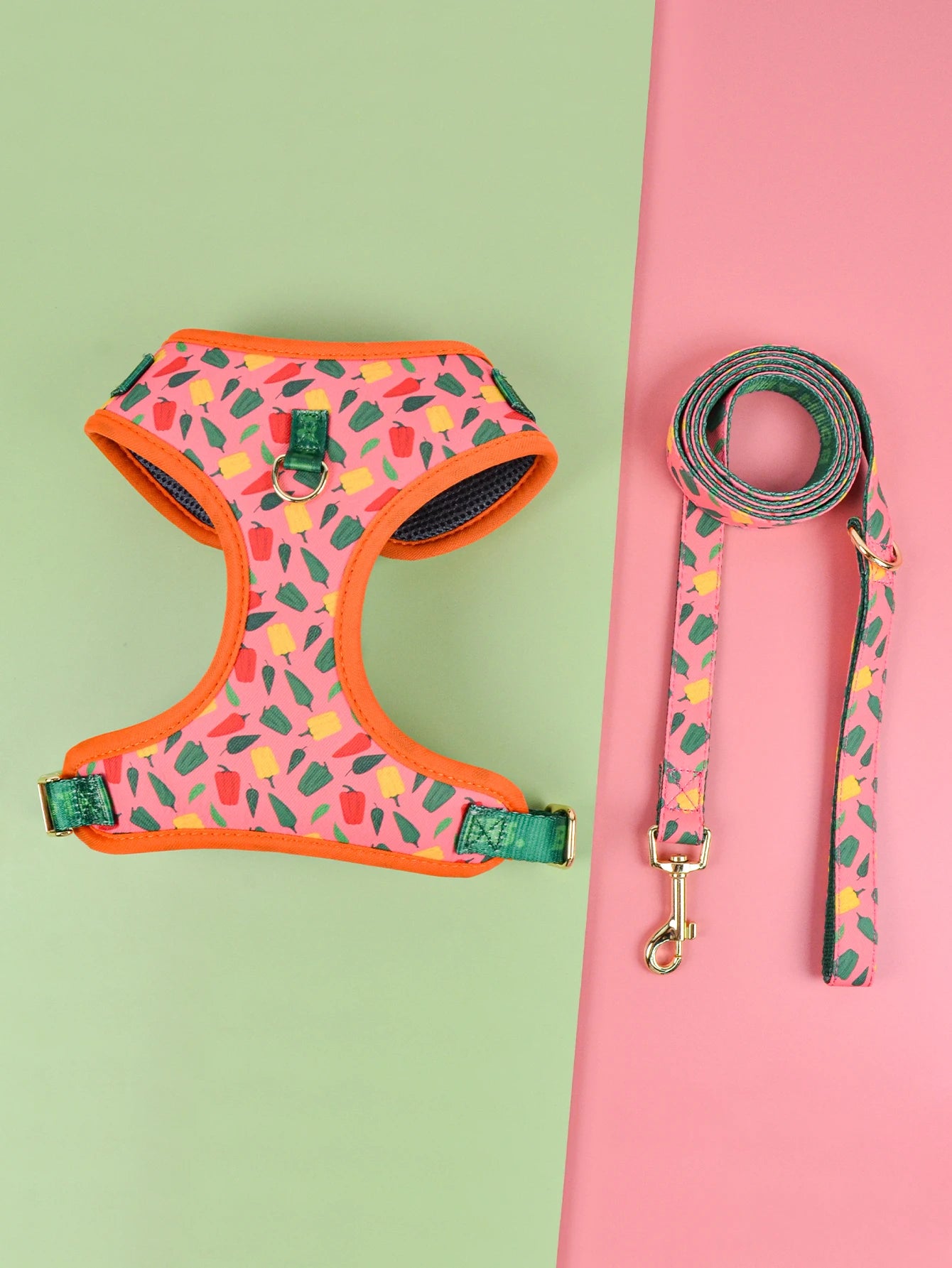 Valentine's Day and New Year's gift Cute Design Adjutable Luxury Designer Pet Harness &1 Pcs Color Matching Pet Dog Leashes