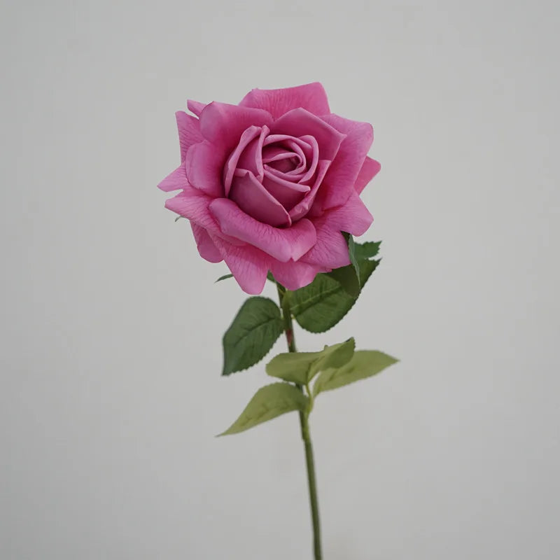 5Pc High-end Feel Moisturizing Big Austin Rose Flower Real Touch Artificial Flowers Rose Wedding Decor Fake Flowers Home Display