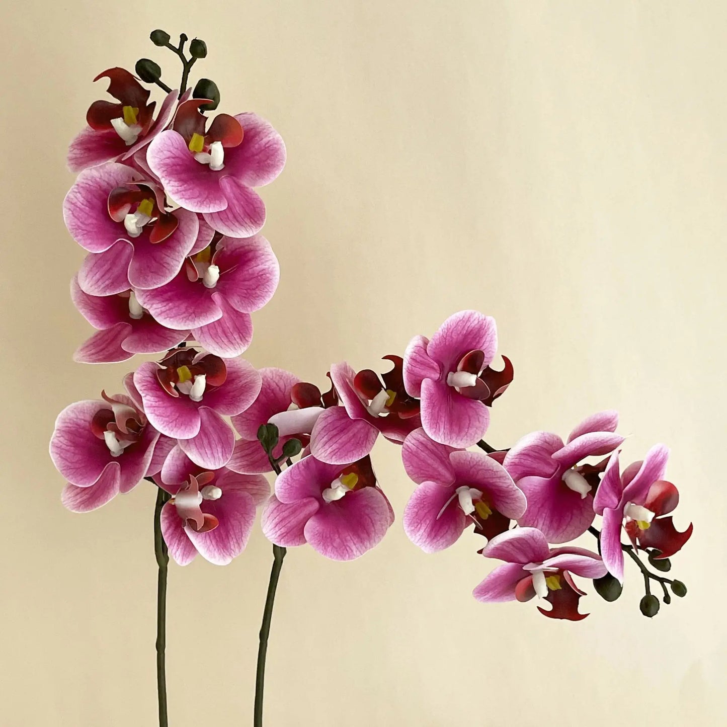 5Pc 3D Print Film Phalaenopsis Artificial Flowers Real Touch Orchids Home Decor Wedding Road Leads Flower Arrangement Bouquet