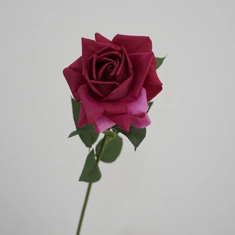 5Pc High-end Feel Moisturizing Big Austin Rose Flower Real Touch Artificial Flowers Rose Wedding Decor Fake Flowers Home Display