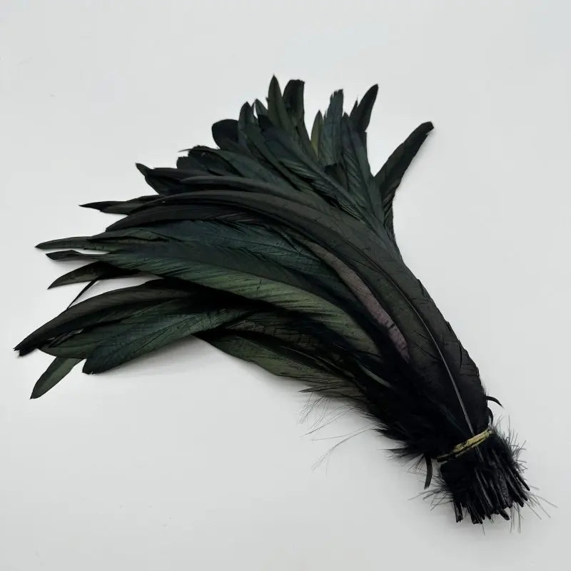 Tejesa  100pcs 30-35CM Rooster Tail Feathers Sky Blue Natural  Plumes Beige DIY Cock Clothing Jewelry Accessories Party
