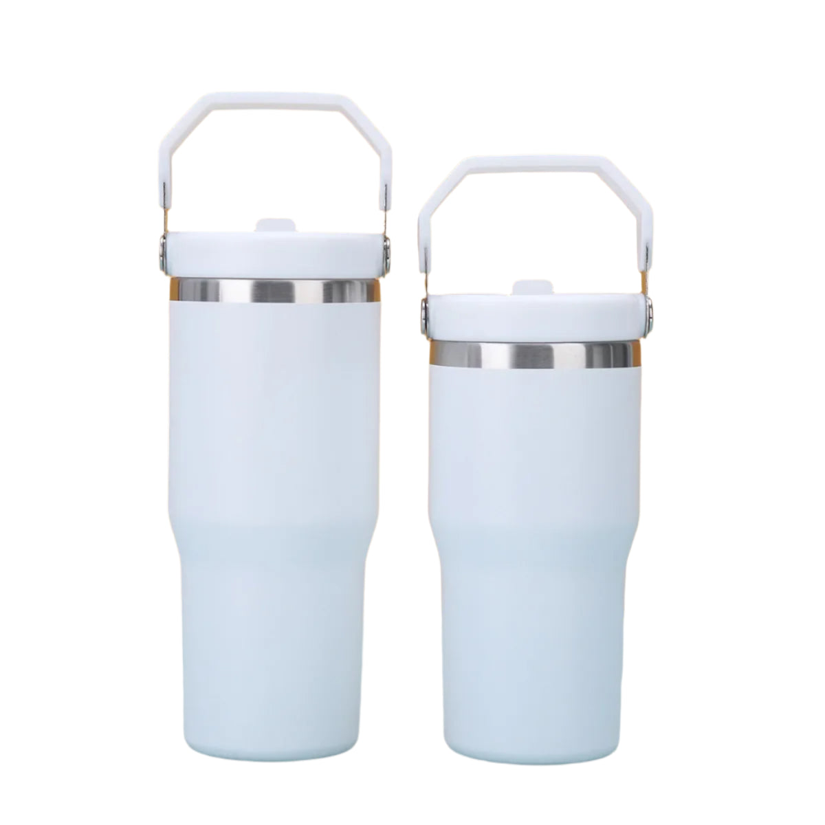 Hemasa 1pc Tumbler with Handle and Straw Lid