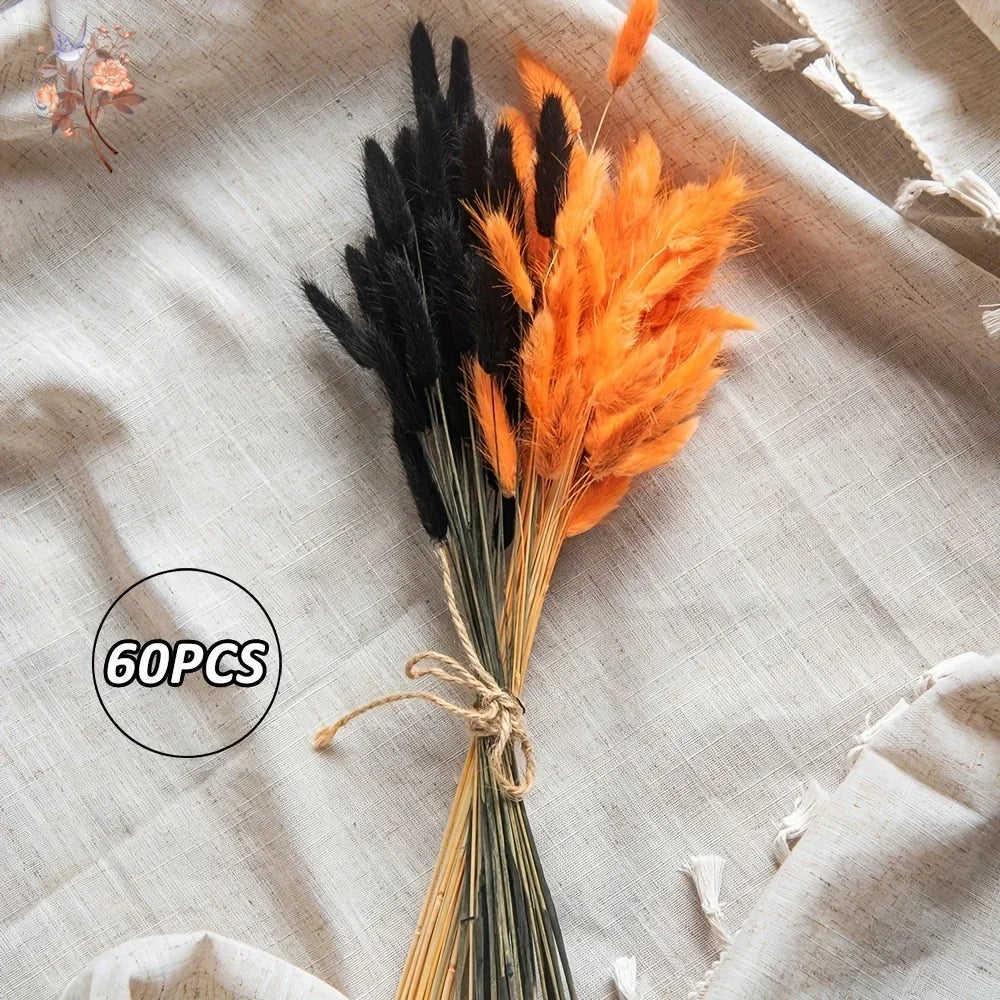 60Pcs Orange Black Bunny Rabbit Tails Grass Bouquet Natural Dried Pampas Flowers Wedding Home Table Decor Christmas Decoration