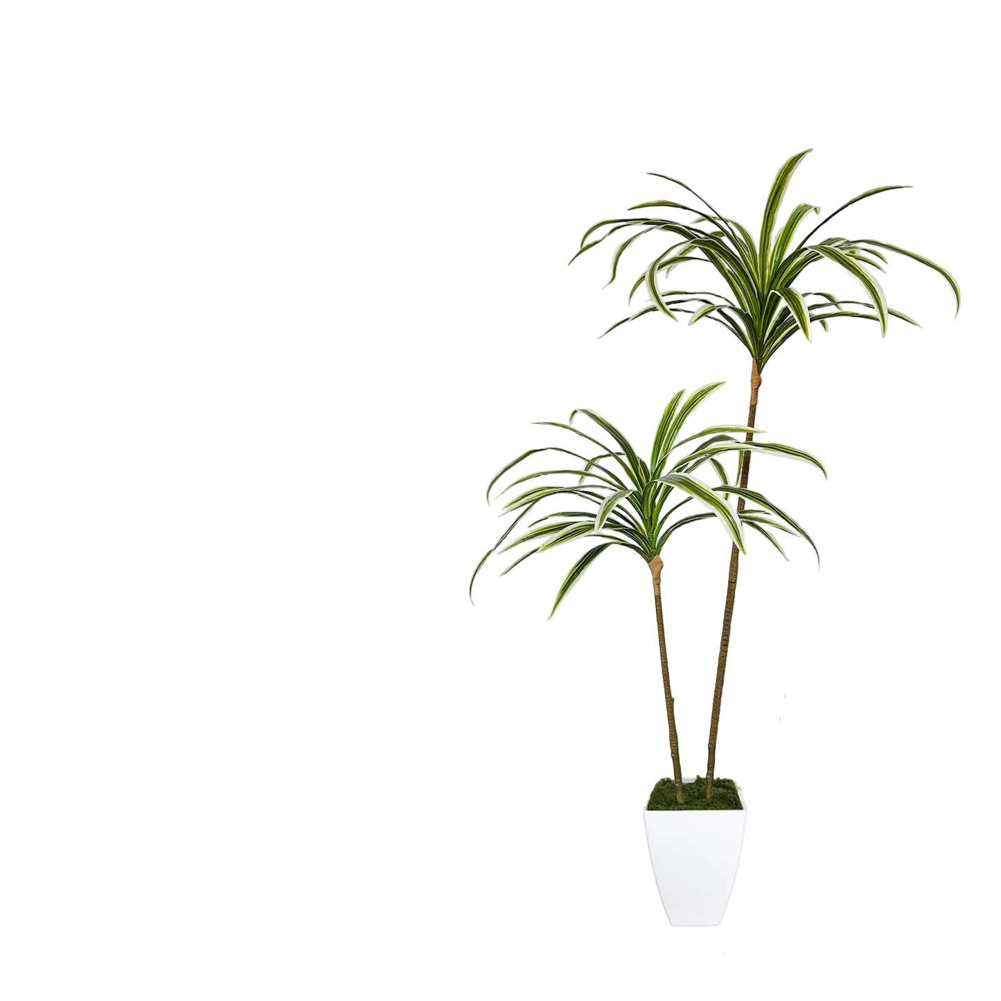 130-160CM Artificial plants Dracaena reflexa faux flower Indoor outdoor fake plant for home hotel wedding living room decoration
