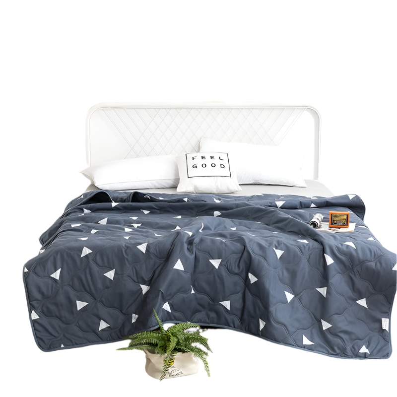 Hemasa  Silk  Thin Quilt Summer Blanket  Single/Queen/King