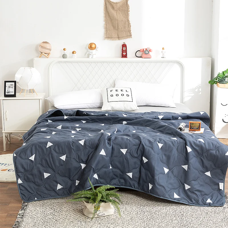 Hemasa  Silk  Thin Quilt Summer Blanket  Single/Queen/King