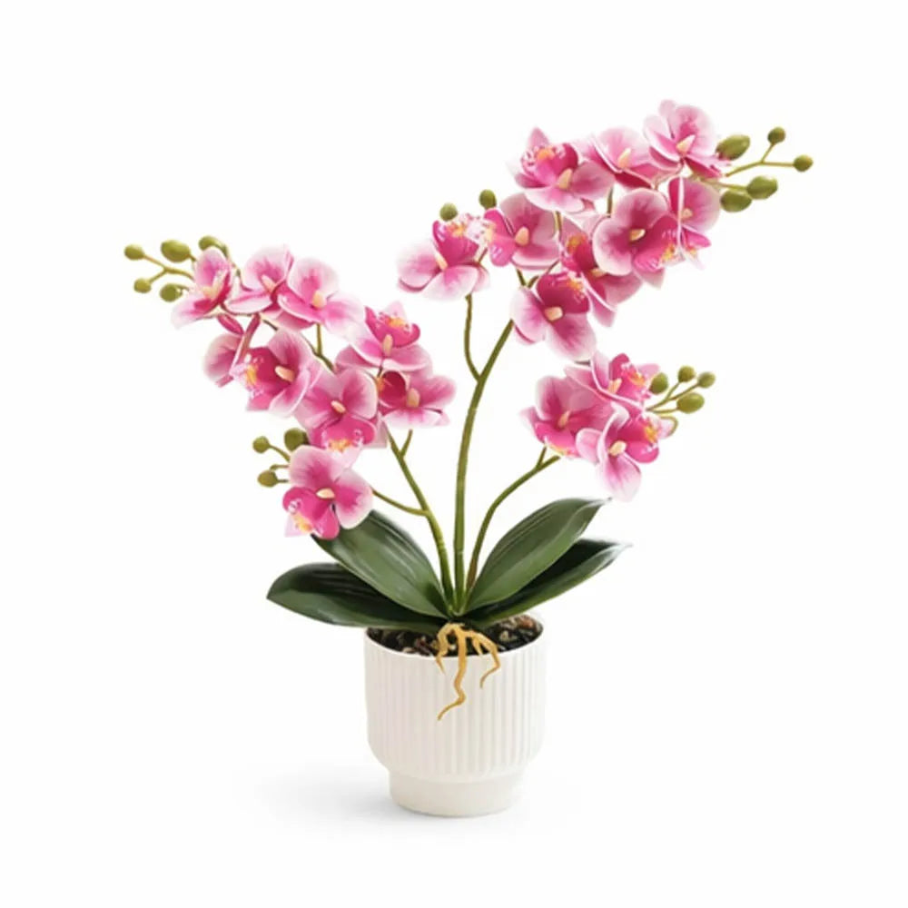 16'' Artificial Phalaenopsis Fake Flower Bonsai Desktop Faux Orchid in Pot for Home Living Room Kitchen Office Indoor Decoration