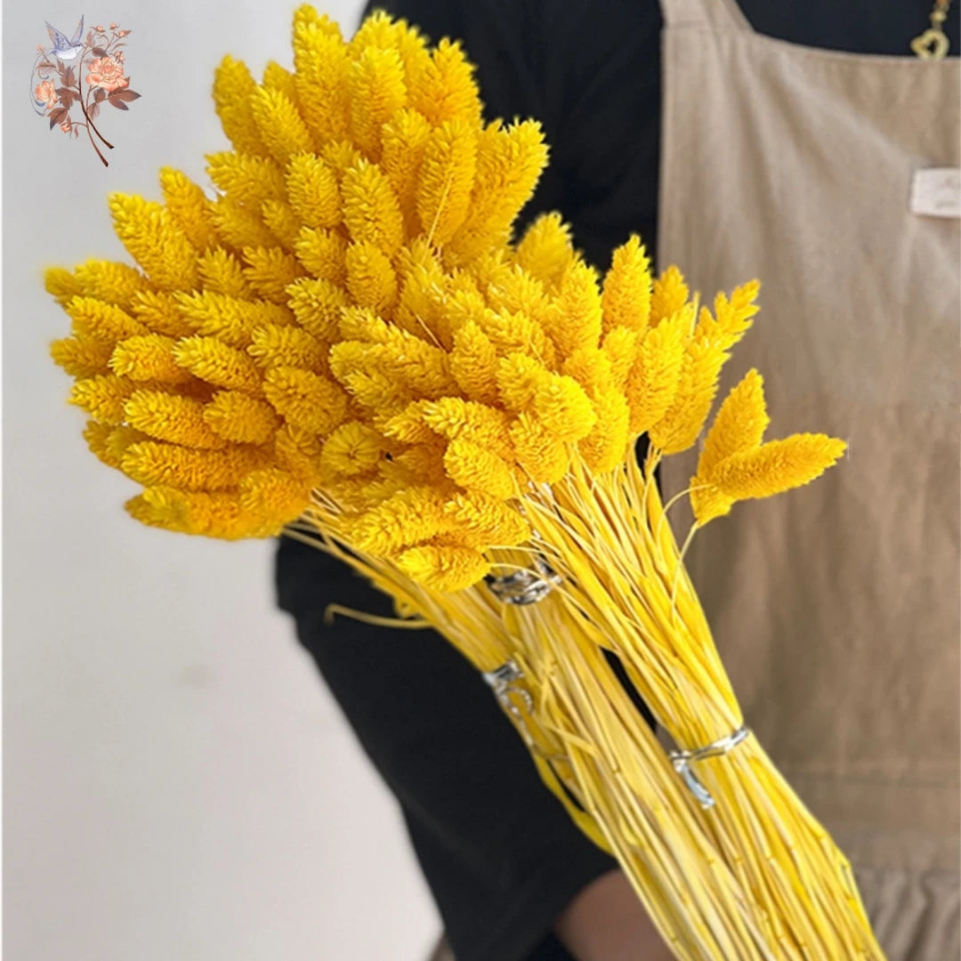 100Pcs Natural Dried Gem Grass Bouquet Jewelry Grass Phalaris Flower for Vase Filler Boho Home Table Wedding Party Decoration