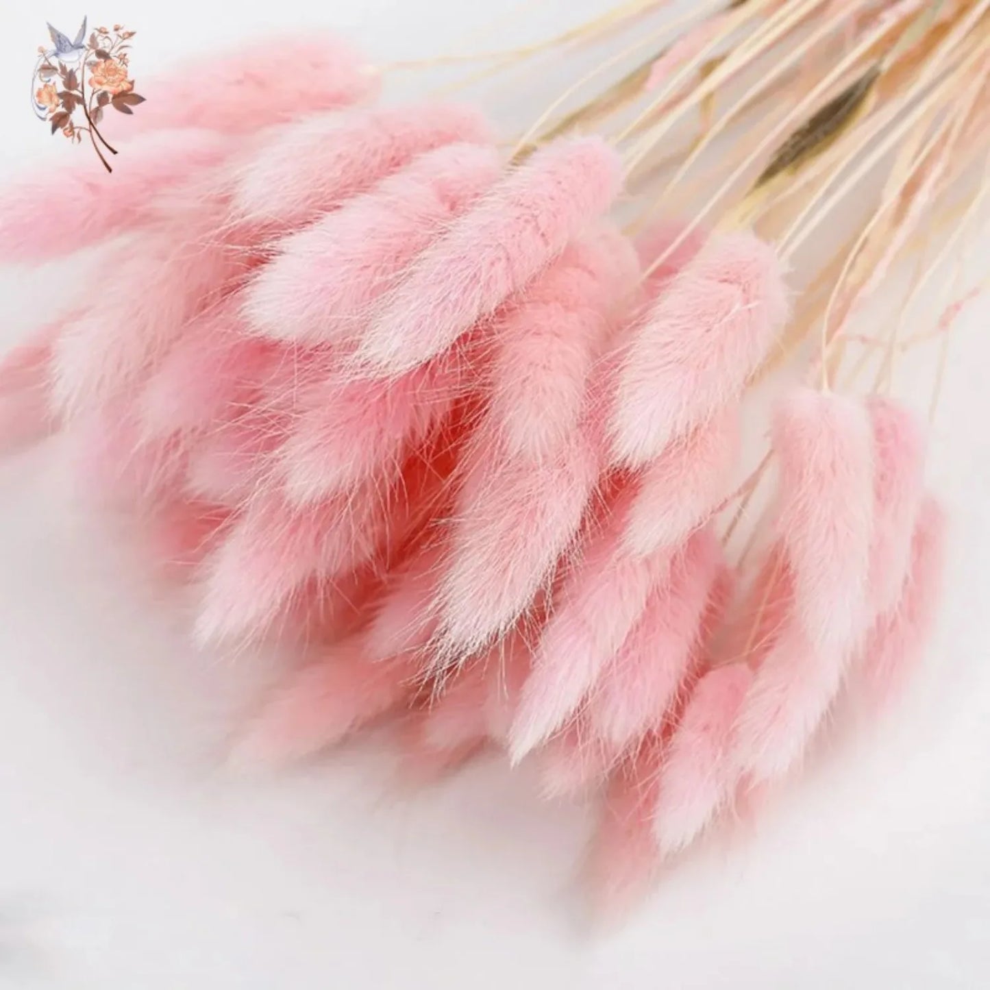 Hemasa 20/50Pcs Natural Rabbit Tail Grass Colorful Dried Flowers Bouquets Bunny Tails Lagurus Ovatus Photo Prop Home Wedding Decoration