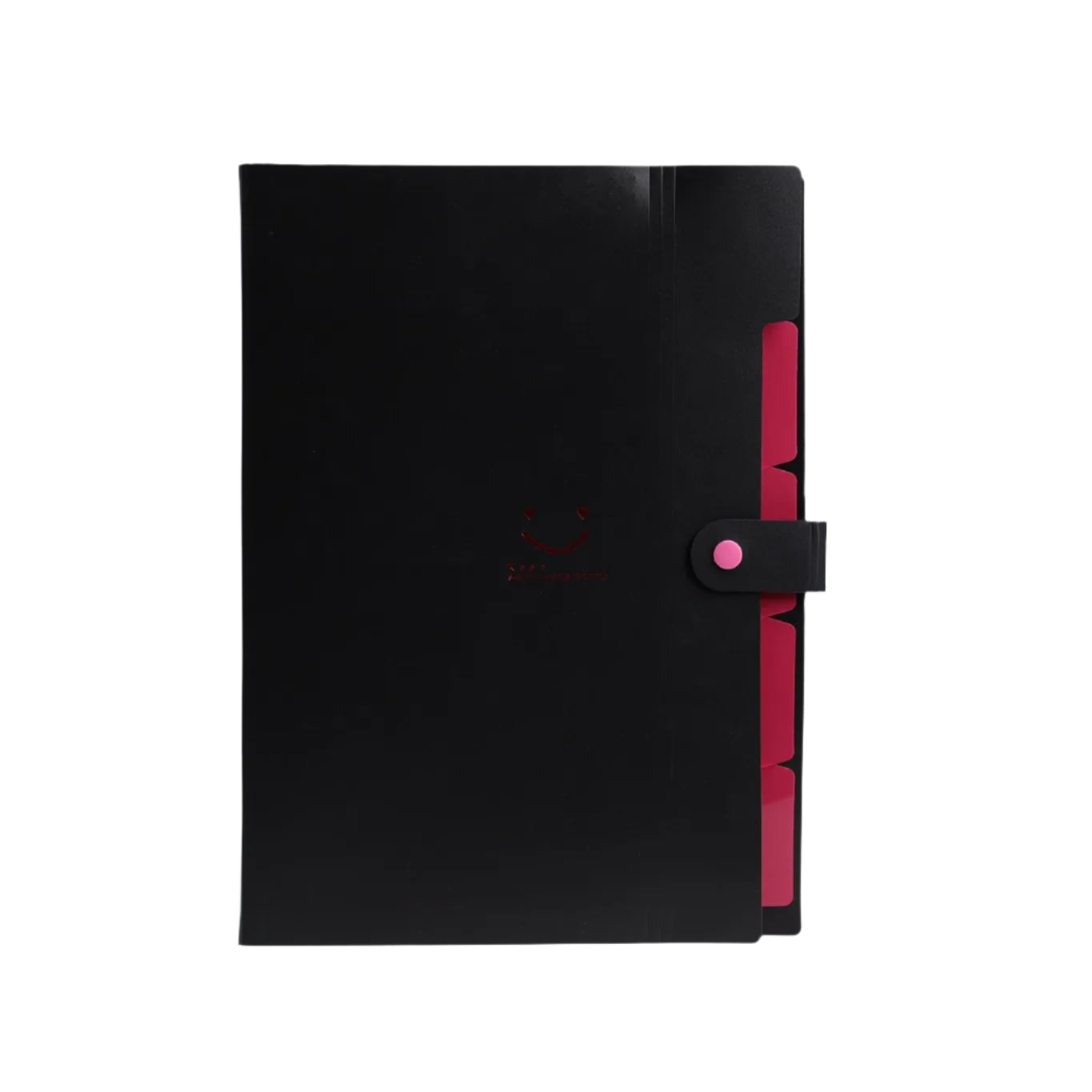 Hemasa 5page Classic File Folders - A4 Document Storage Bags with Plastic Material and Test Roll Holder