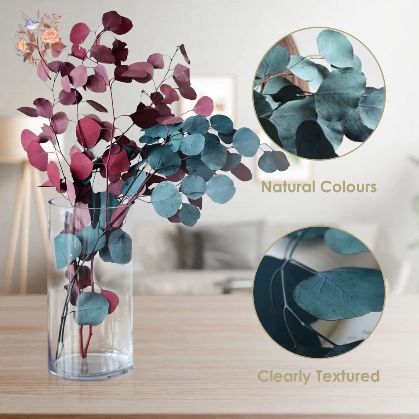 100g Eucalyptus Apple Leaf Natural Dried Flower Round Leaves Real Grass Fresh Plant Bouquets Wedding Home Living Room Decoration