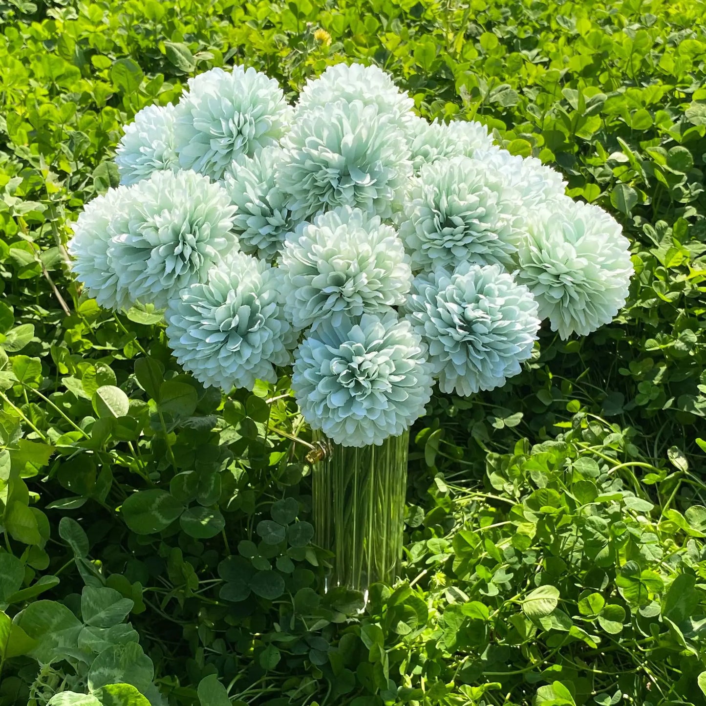 Tejesa 20pcs Artificial Chrysanthemum Ball Hydrangea with Stem Silk Mum Flower for Wedding Party Home Table Room Decoration