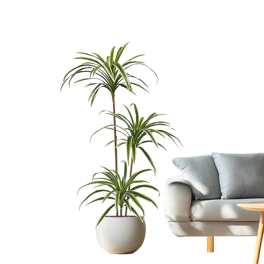 130-160CM Artificial plants Dracaena reflexa faux flower Indoor outdoor fake plant for home hotel wedding living room decoration